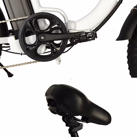 E-Bikes 48V 350W Electric Bike with Pedal Assist