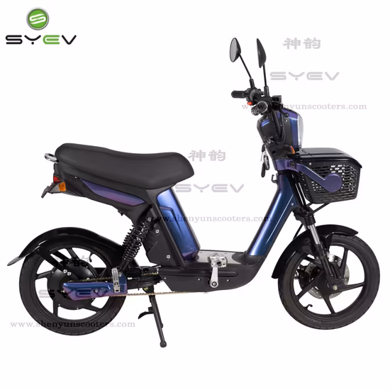 Hot Selling E-Bike Pedal Electric Bike Mobility Ebike for Adult